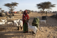 Photo: ©FAO/Karel Prinsloo/FAO