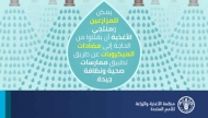 مواد الفاو الخاصة بالأسبوع: حقائق، رسوم بيانية .