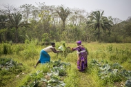Foto: ©Sebastian Liste/NOOR for FAO