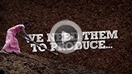Watch the video