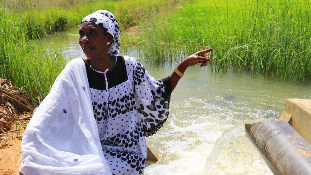 FAO dialogue water tenure