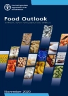 Meat and meat products. In Food Outlook November 2020
