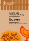 How to use antibiotics effectively and responsibly in poultry production 