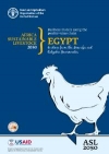 Business models along the poultry value chain in Egypt – Evidence from the Menoufia and Qalyubia Governorates