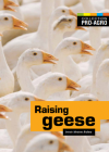 Raising geese