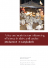 Policy and scale factors influencing efficiency in dairy and poultry production in Bangladesh