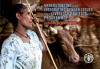 Understanding and integrating gender issues into livestock projects and programmes: A checklist for practitioners
