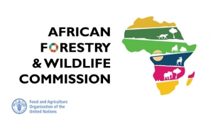 African Forestry and Wildlife Commission to target food security and ...