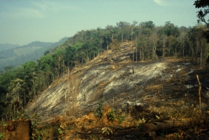 Competing interests need to collaborate to help restore Asia-Pacific’s forests or risk missing 2030 sustainable development targets