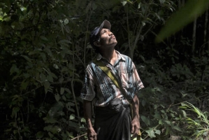 Towards innovative, conflict-sensitive and human rights-based approaches to forest monitoring