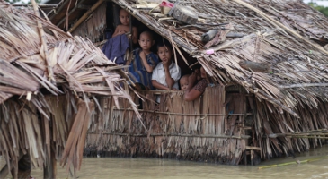 Grim picture of destruction caused by Myanmar floods. Huge livestock and paddy losses