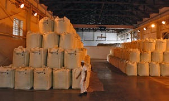 World food prices stay high, but steady