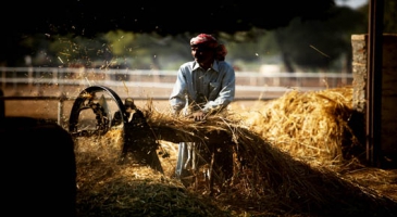 Plan of Action to implement ASEAN Declaration on Strengthening Social Protection discussed at Siem Reap