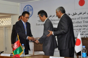 Japan strengthens food security in Afghanistan with a donation of US$ 18 million to help combat the threat of animal diseases – nomad community key beneficiary
