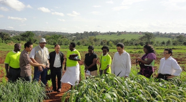 FAO and China announce second phase of programme to boost agribusiness in Uganda
