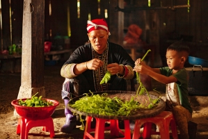 COVID-19’s long shadow darkens the future of Southeast Asia’s food security