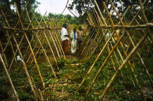 Government ministers and experts gather for first Pacific Week of Agriculture – highlight on nutrition and food security    