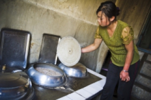 Better harvests in DPR Korea but undernutrition persists