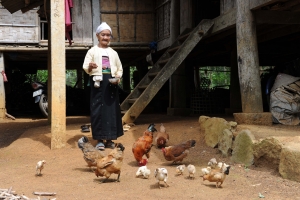 FAO launches campaign to empower indigenous women in Asia and Pacific 