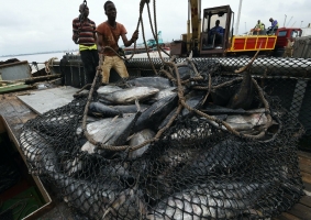 World Fisheries Day 2021 hears calls to halt exploitation of fishers