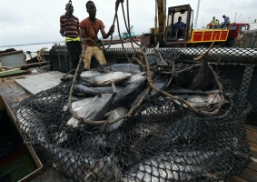 World Fisheries Day 2021 hears calls to halt exploitation of fishers