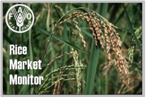 FAO says rice production out pacing consumption