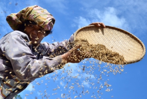 Facing many challenges, Asia-Pacific governments convene to determine a course toward future food security 