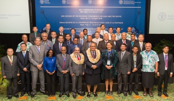 Asia-Pacific countries call for accelerated action to end hunger, improve nutrition and tackle the effects of climate change on agriculture