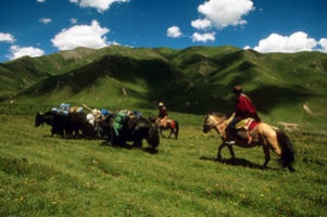 FAO and Chinese partners working to unlock carbon finance for herders and grazers