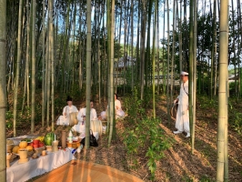Traditional bamboo cultivation system in the Republic of Korea earns place on global agricultural heritage sites list