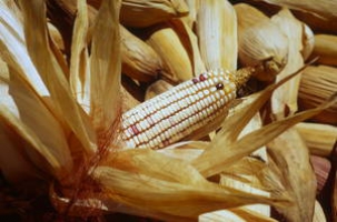 Sharp rise in FAO Food Price Index