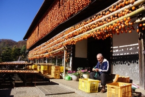 Two new sites in Japan designated FAO Globally Important Agricultural Heritage Systems