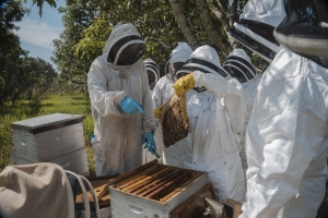 FAO kicks off training on sustainable beekeeping in the Pacific