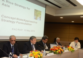 Rice experts gather at FAO to discuss regional rice strategy for Asia