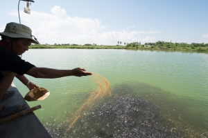 Spread awareness, stop resistance—World Antimicrobial Awareness Week theme announced