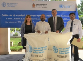 FAO begins handover of 780 tonnes of urea to Sri Lanka’s Ministry of Agriculture