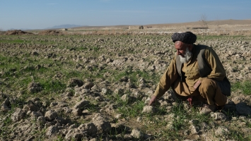 Afghanistan: FAO and the World Bank step up their response to the worsening food security