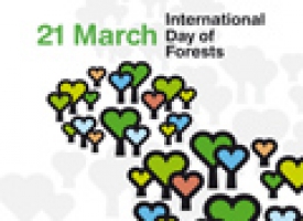 ON INTERNATIONAL DAY OF FORESTS, ASIA-PACIFIC FACES SOME TOUGH CHOICES ABOUT SUSTAINABLE FOREST MANAGEMENT 