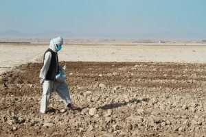 Afghanistan - to avert a catastrophe, agricultural assistance is urgently needed 
