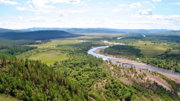 Forests vital for green recovery in the Asia-Pacific region