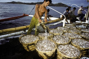 South Korea and FAO team up to promote sustainable fisheries
