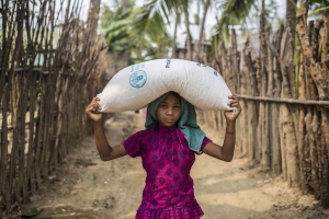 Myanmar: A race to avoid increasing food insecurity 