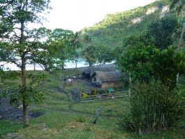 New FAO project to boost Vanuatu’s capacity for implementing National Census of Agriculture 2022