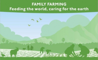 Media invitation to cover World Food Day event in Bangkok – 15 October