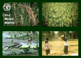 FAO: World rice harvest forecast to rise in 2012
