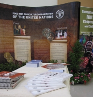 Promoting youth’s solidarity for a greener and healthier environment