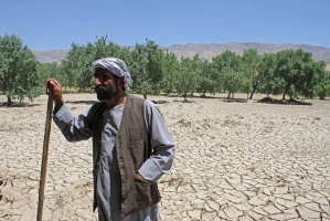 Increased support for Afghan farmers hit by conflict and natural disasters