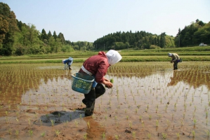 FAO and Japan hold high-level discussions to bolster a strong partnership