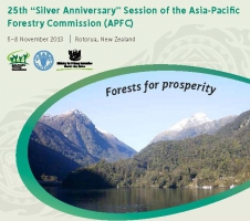 Time to tap the full potential of Asia-Pacific’s forests: sustainably and prosperously