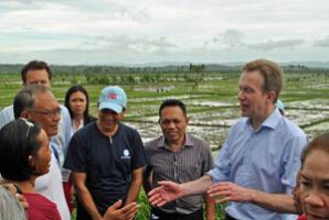 Norway lauds FAO rice seed project in typhoon-stricken Philippines